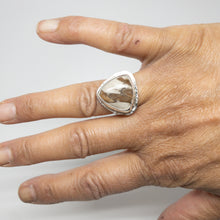 Load image into Gallery viewer, Ages of Agate - Plumwood Agate Ring
